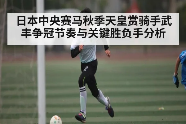 日本中央赛马秋季天皇赏骑手武丰争冠节奏与关键胜负手分析