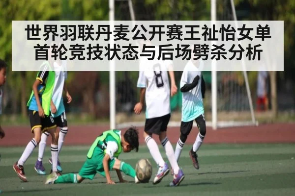 世界羽联丹麦公开赛王祉怡女单首轮竞技状态与后场劈杀分析